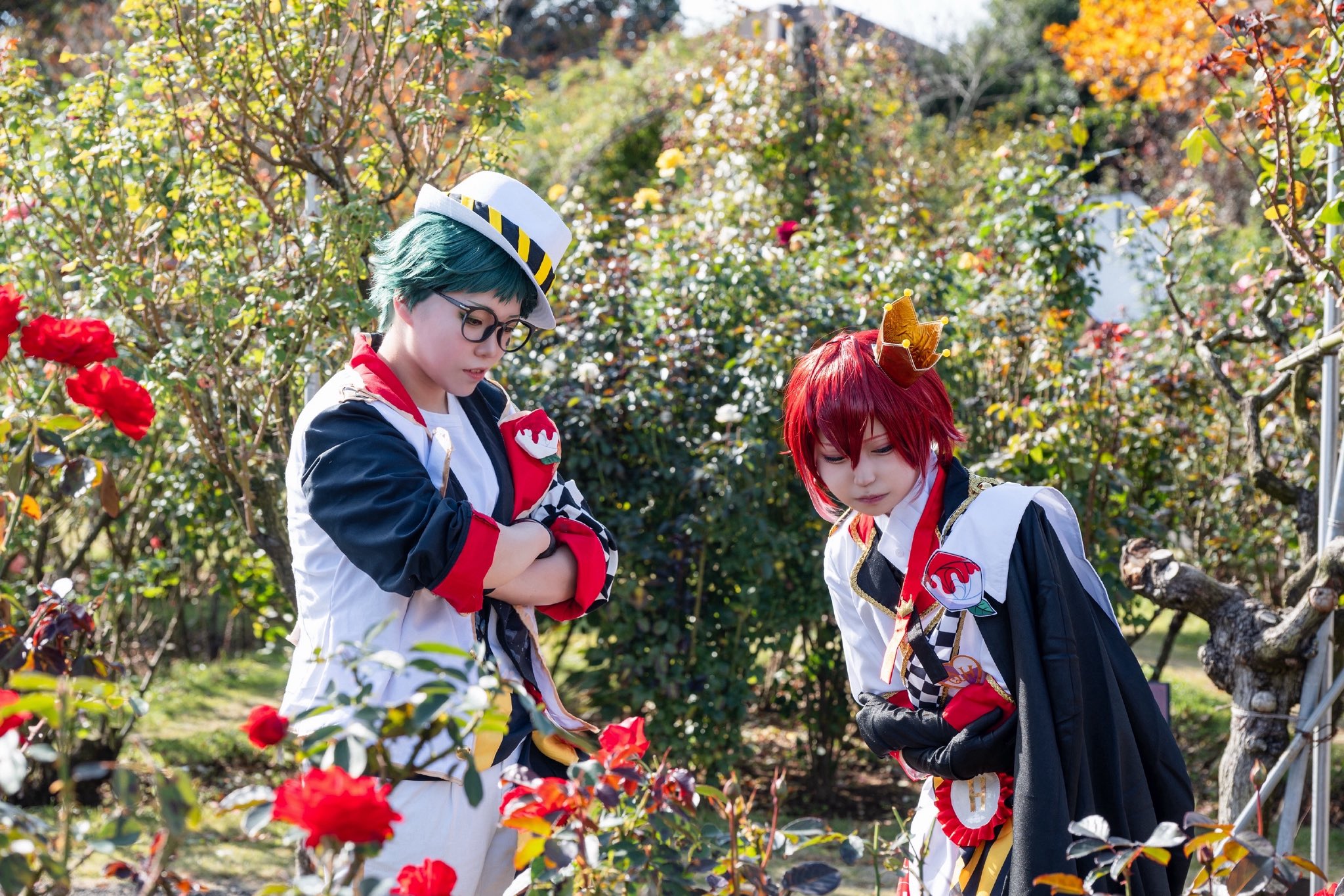 25/11/15 リドル&トレイ@京成バラ園